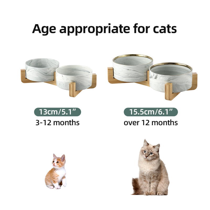 voerbakken voor je kat - eten in stijl