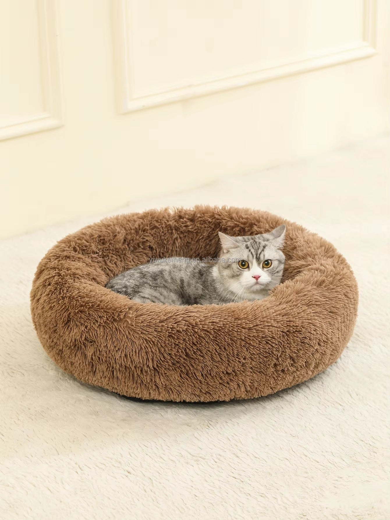 Het Ultieme Knuffelbed voor Katten