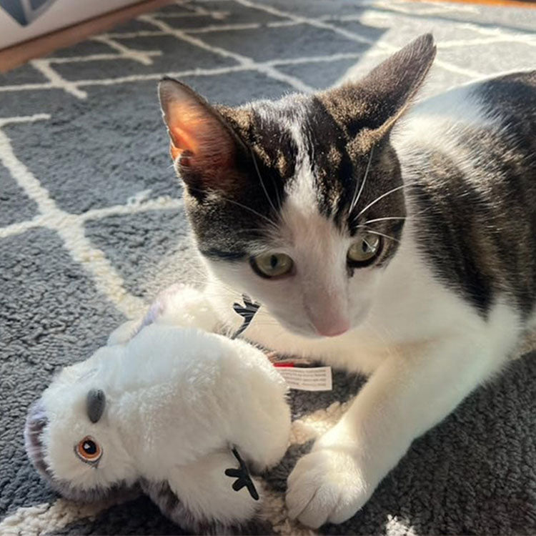 Automatisch vliegend kattenspeelgoed met geluid & oplaadbaar.