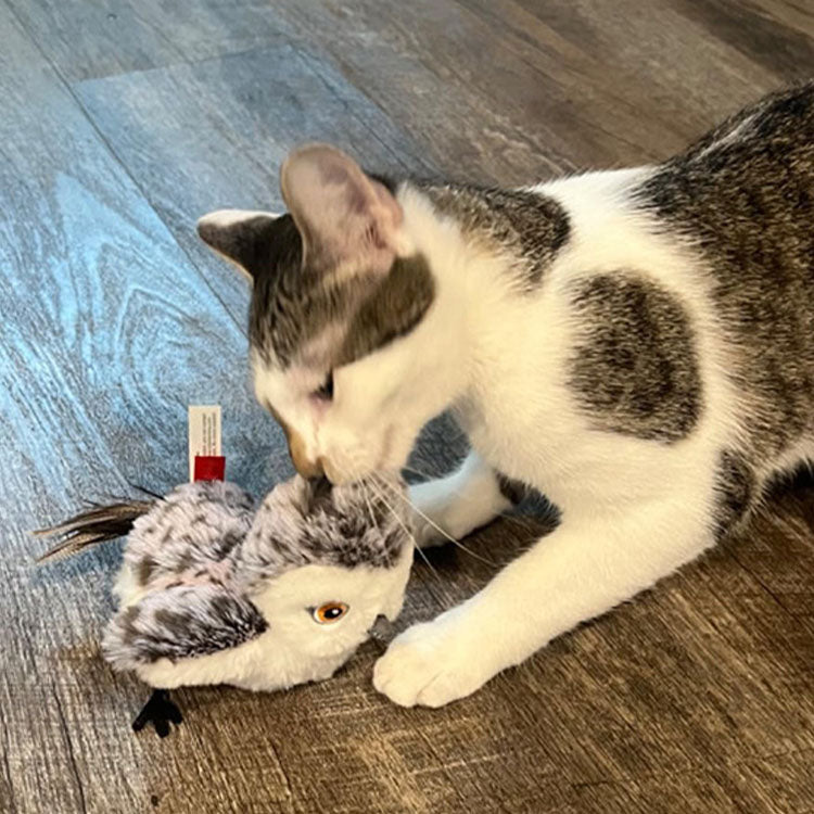 Automatisch vliegend kattenspeelgoed met geluid & oplaadbaar.